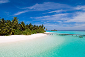 Tropical Island of the Maldives