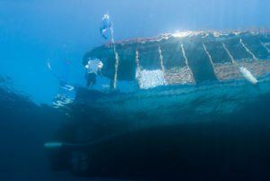 Diving Boat on the Maldives