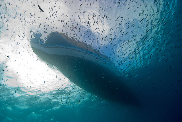 Tauchboot auf den Malediven