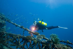 Diver at a Wreck