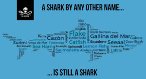 Shark by other Name - Sea Shepherd